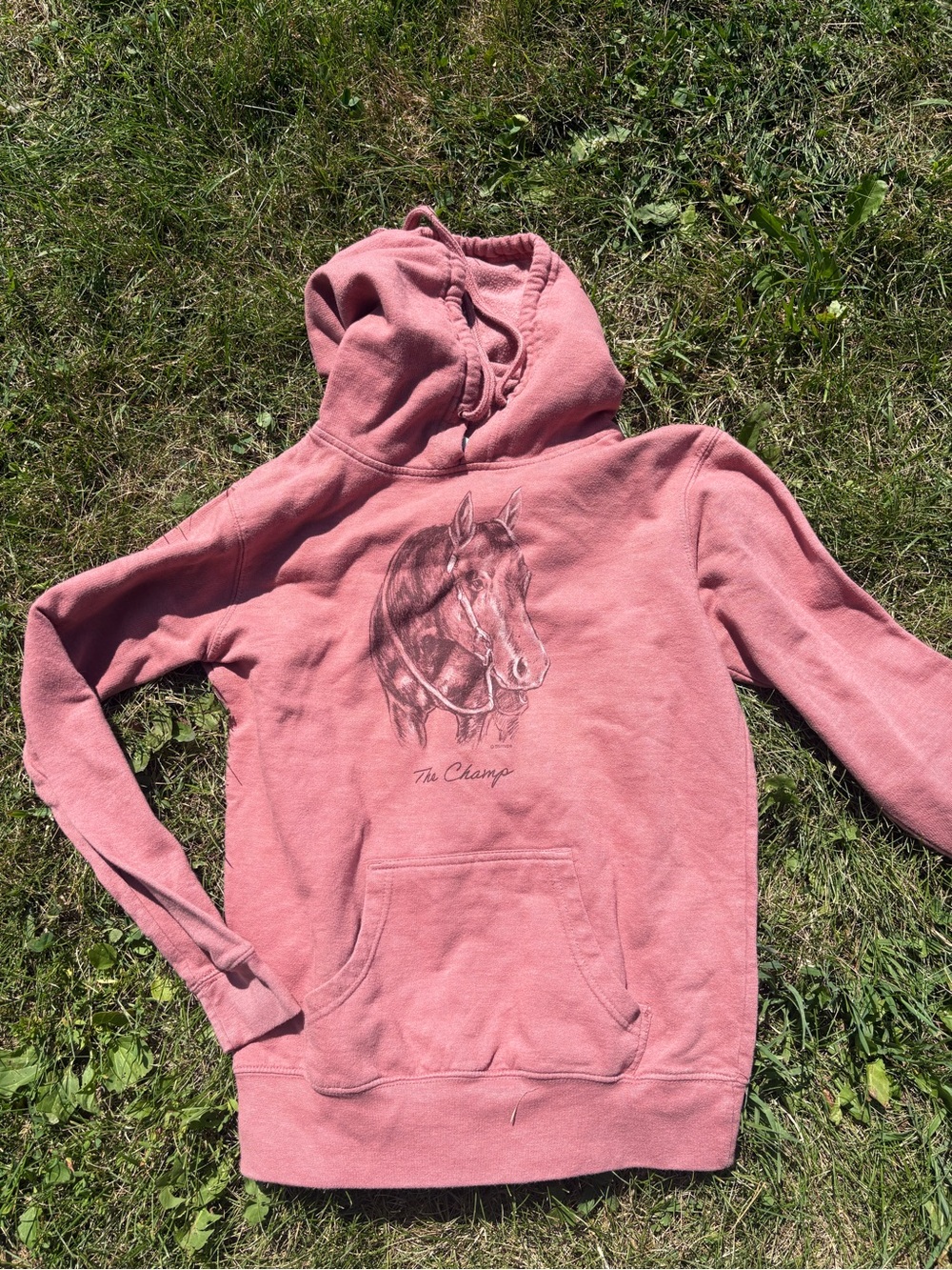 Vintage Stirrups Horse Graphic Hoodie Women’s Small Pink Pullover Equestrian